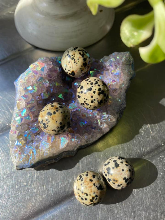 Dalmatian Jasper Mini Sphere